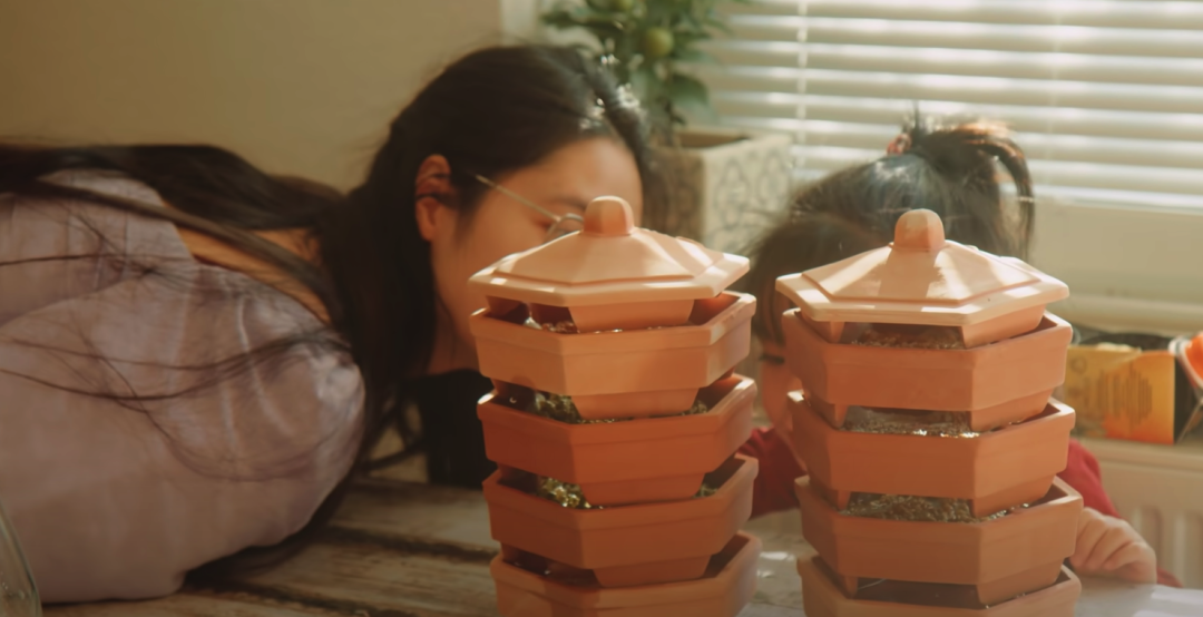 二胎妈妈改造8㎡阳台种20多种蔬菜，看了这个，我疫情还要抢菜？