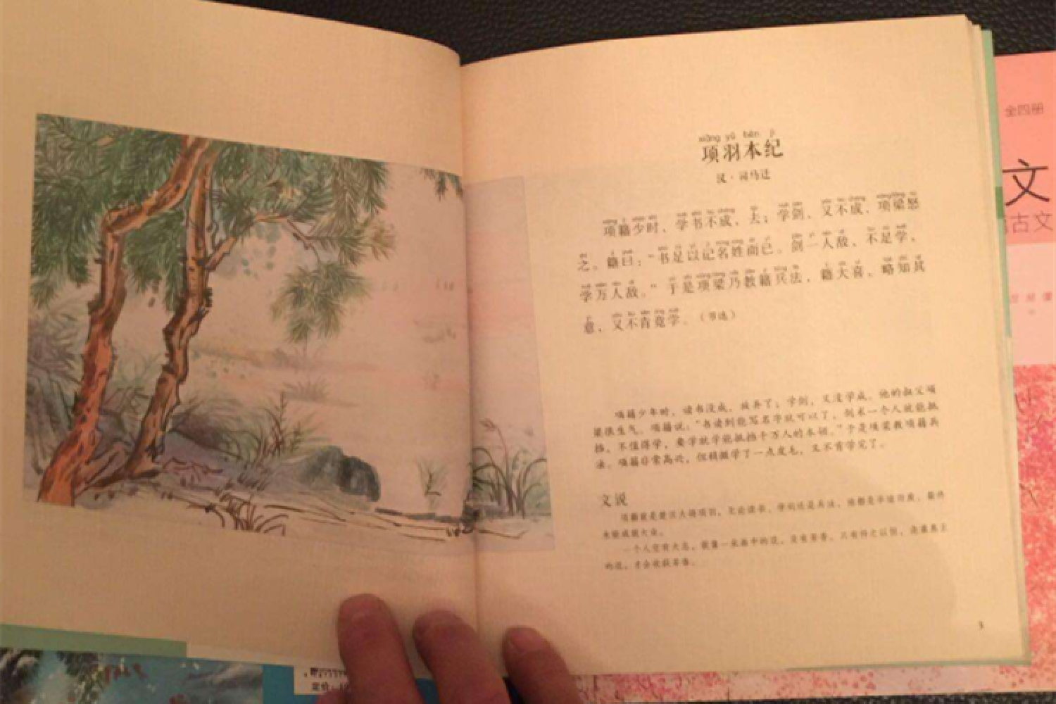 中等生逆袭成学霸，只因妈妈做对一件事：读古文就要从小学开始