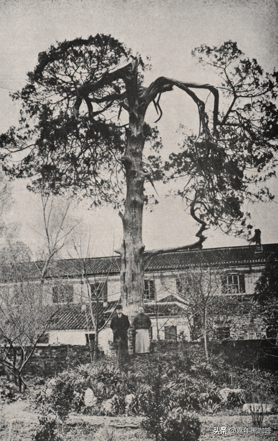 最美大学校园——东南大学