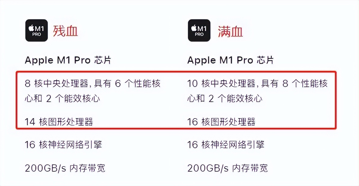 非Pro不买，到手就后悔？看完这条苹果教育攻略你就知道怎么选了