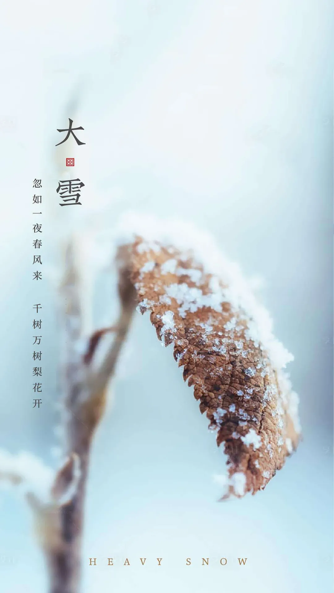 愿你开心动起来,祝福发出来,好运送起来,幸福乐出来,早安