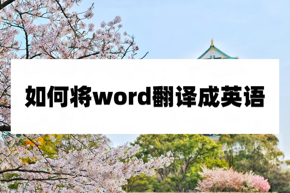 如何将word翻译成英语(怎么用word看英文)