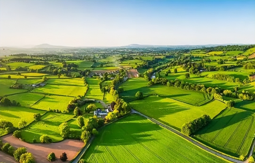 2022年鄉村振興項目政策和補貼詳解 | 政策解讀