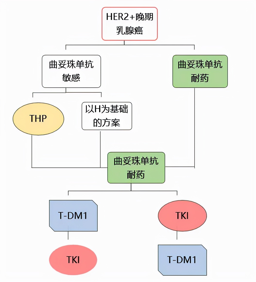 HER2+晚期乳腺癌的靶向治疗药物那么多，怎么选？