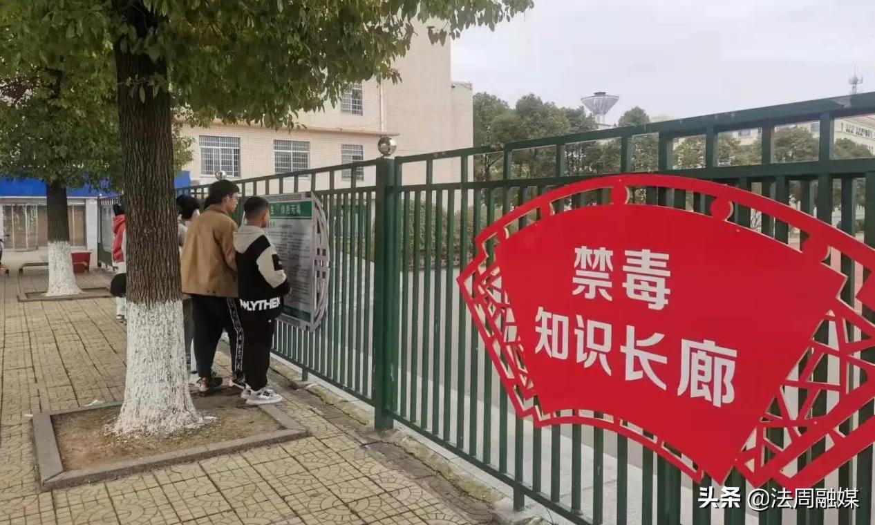 澧县码头铺镇：师生参观禁毒教育展览