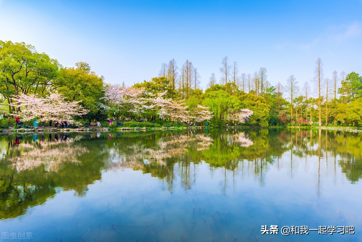 西湖大学听说过吗，要在本科招生了，看看什么样的条件可以报考？