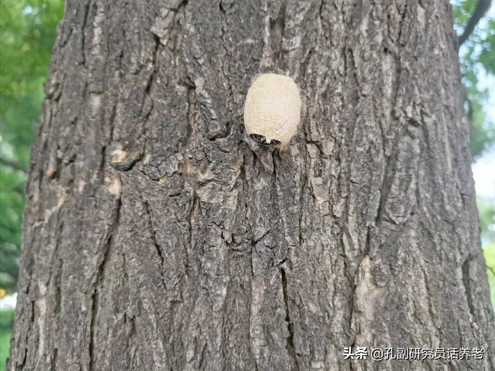 高考改变命运（3）人大博导：本科看学校 硕士看专业 博士看导师