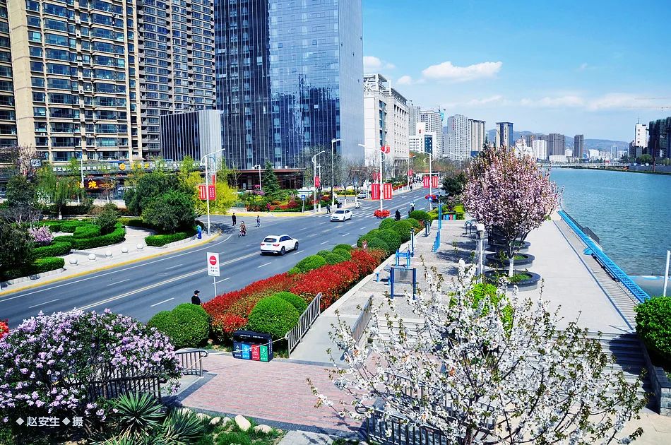 疫情挡不住春天的脚步，小编带你去看古城秦州的春暖花开