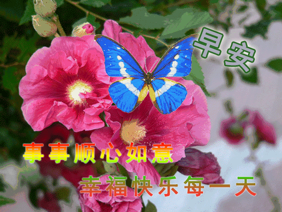 周三朋友圈唯美的早晨祝福语图片 问候是一种快乐 关心是一种幸福图片