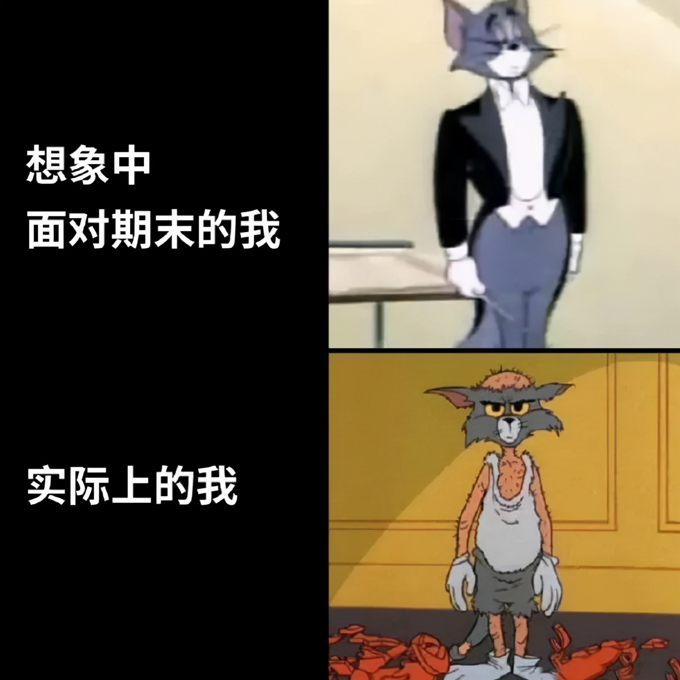 调侃高考段子（大学生用）