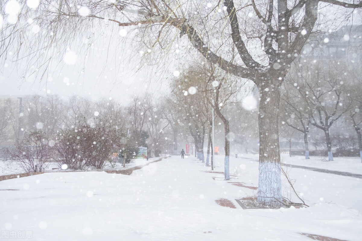寒假留下来看校，在校园里欣赏到绝美的风景