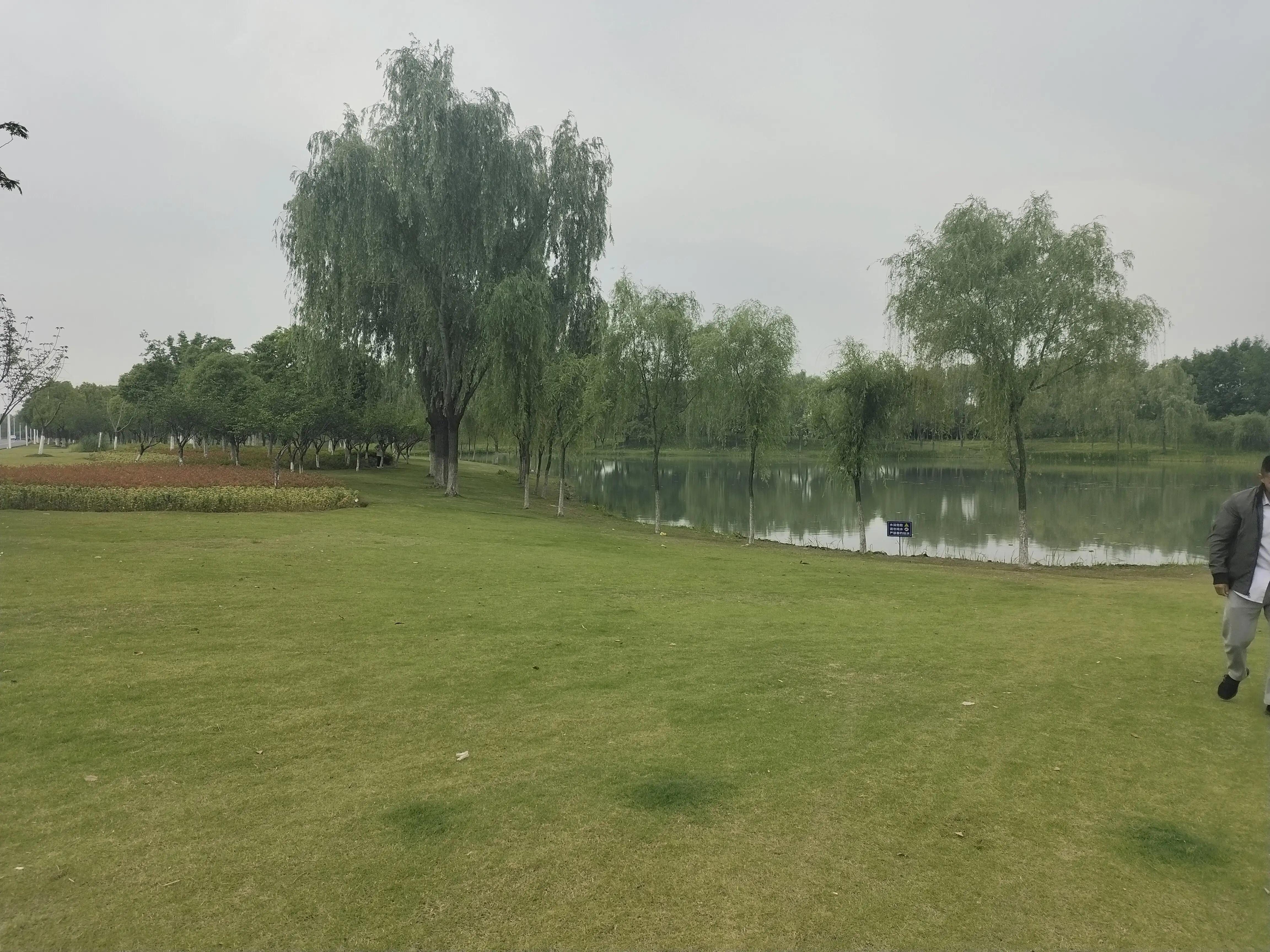 妻子的选择追剧记录3