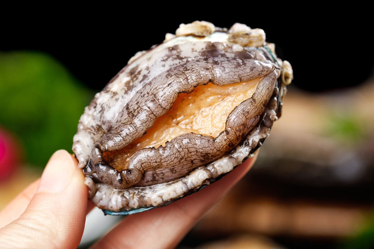 国内4大顶级食材，最便宜的也要好几百，个个滋补营养好