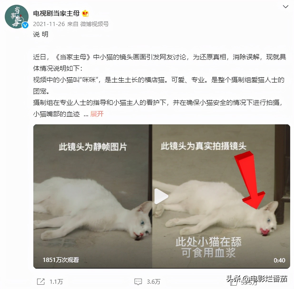 2021年度十大腐败剧，最高3.4分，最低只有2.5分，真是不敢直视