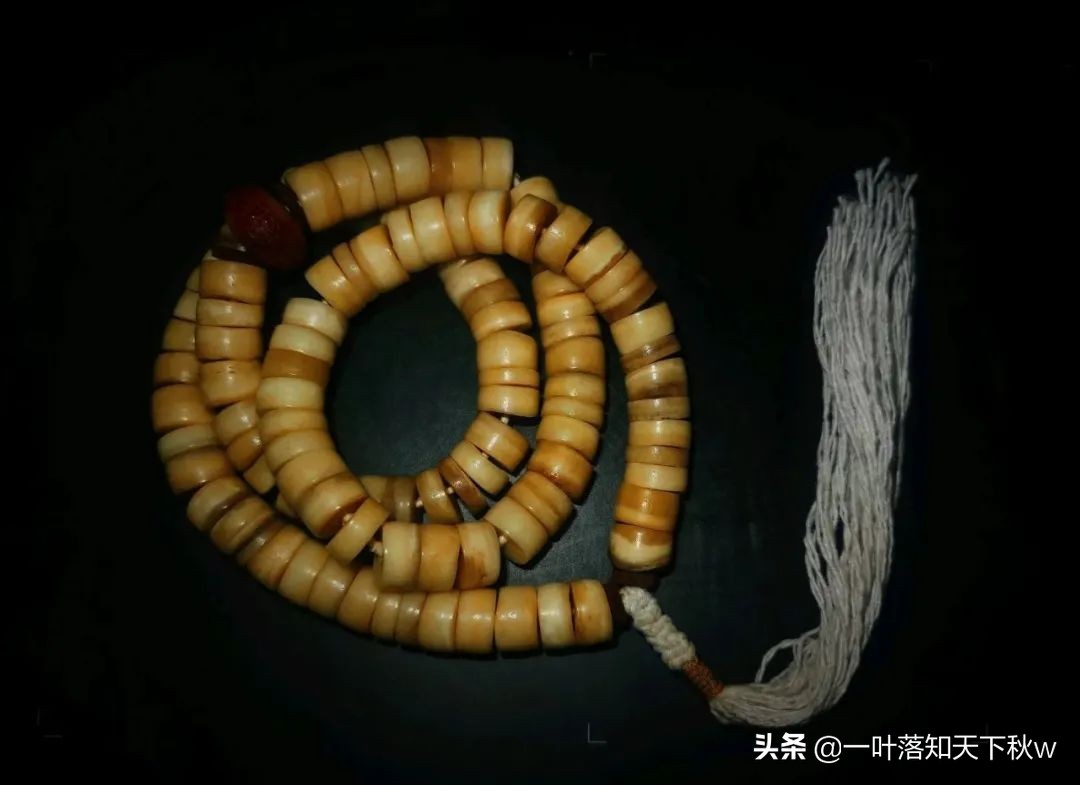 象牙果盘玩后效果图(象牙果盘玩变色)-我的快乐小窝