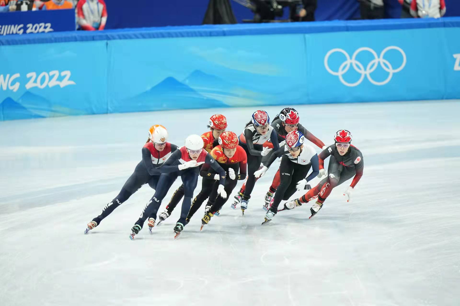 韩国有哪些国家会参加奥运会(冬奥会里的韩国百态，有人犯规申诉，有人在作妖，有人助中国夺冠)