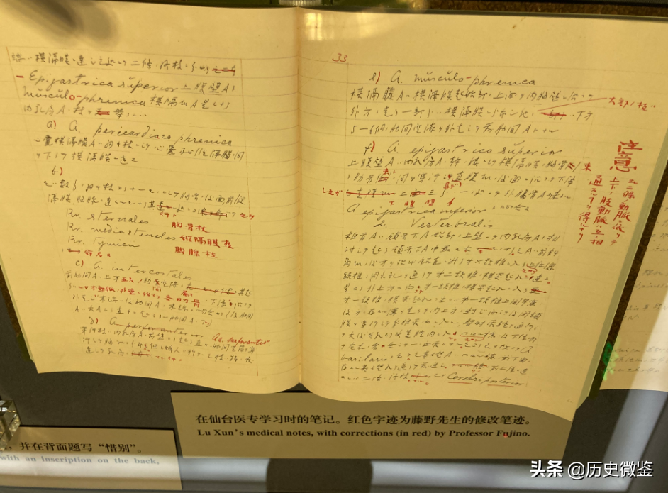 分别29年，鲁迅临终前想见见藤野先生，藤野先生为何拒绝相见？
