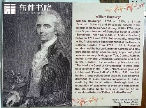 黑酸枝阔叶黄檀名称由来，十个名字你都知道吗？