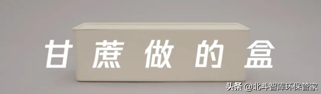 冲厕水酿啤酒？松针变收纳？这些环保创意让人耳目一新