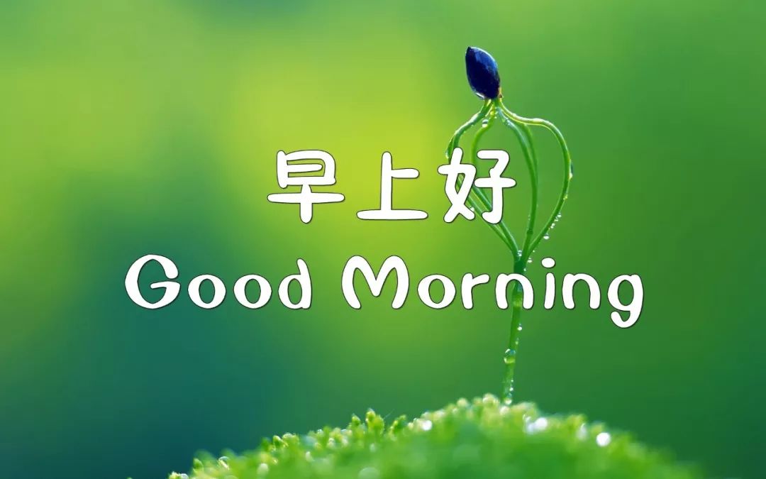 周末清晨祝阳光早上好问候祝福语 祝你幸福 事事都美好图片