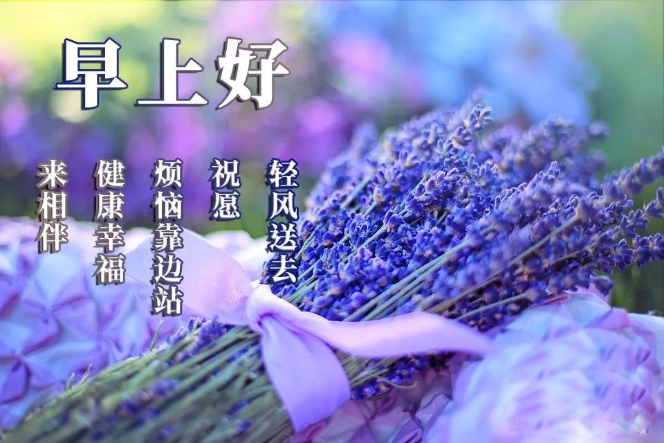 微信早上好阳光暖心语录 朋友圈早上好心情说说正能量 一切都美好图片