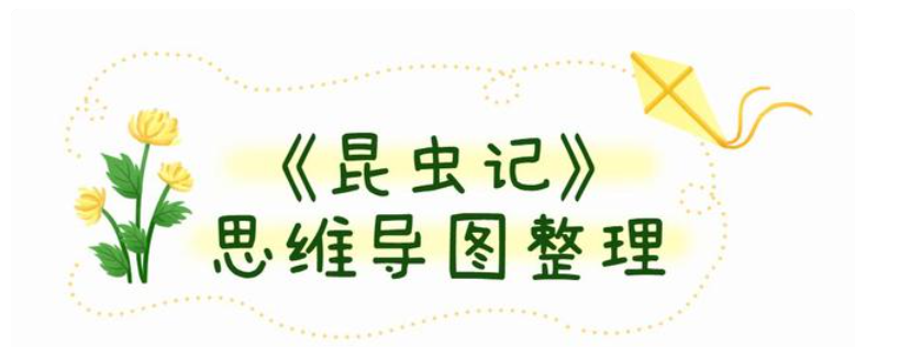 《昆虫记》思维导图，高清完整版分享