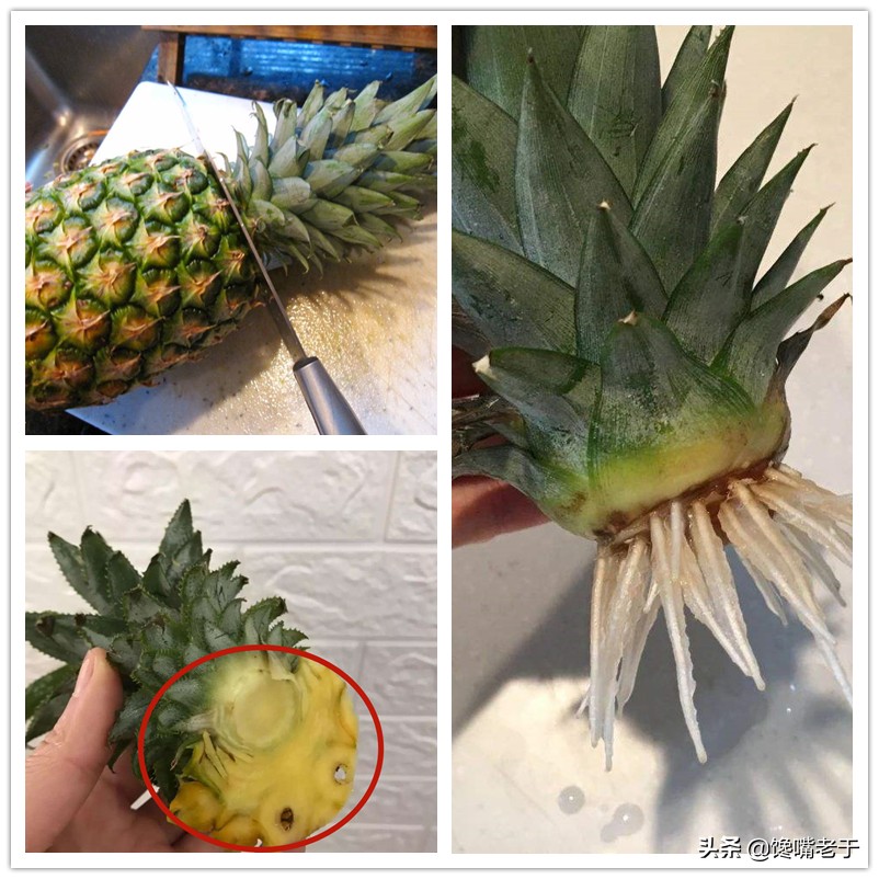 买菠萝时，别光图省事，这2件东西一定要带走，看完涨知识了