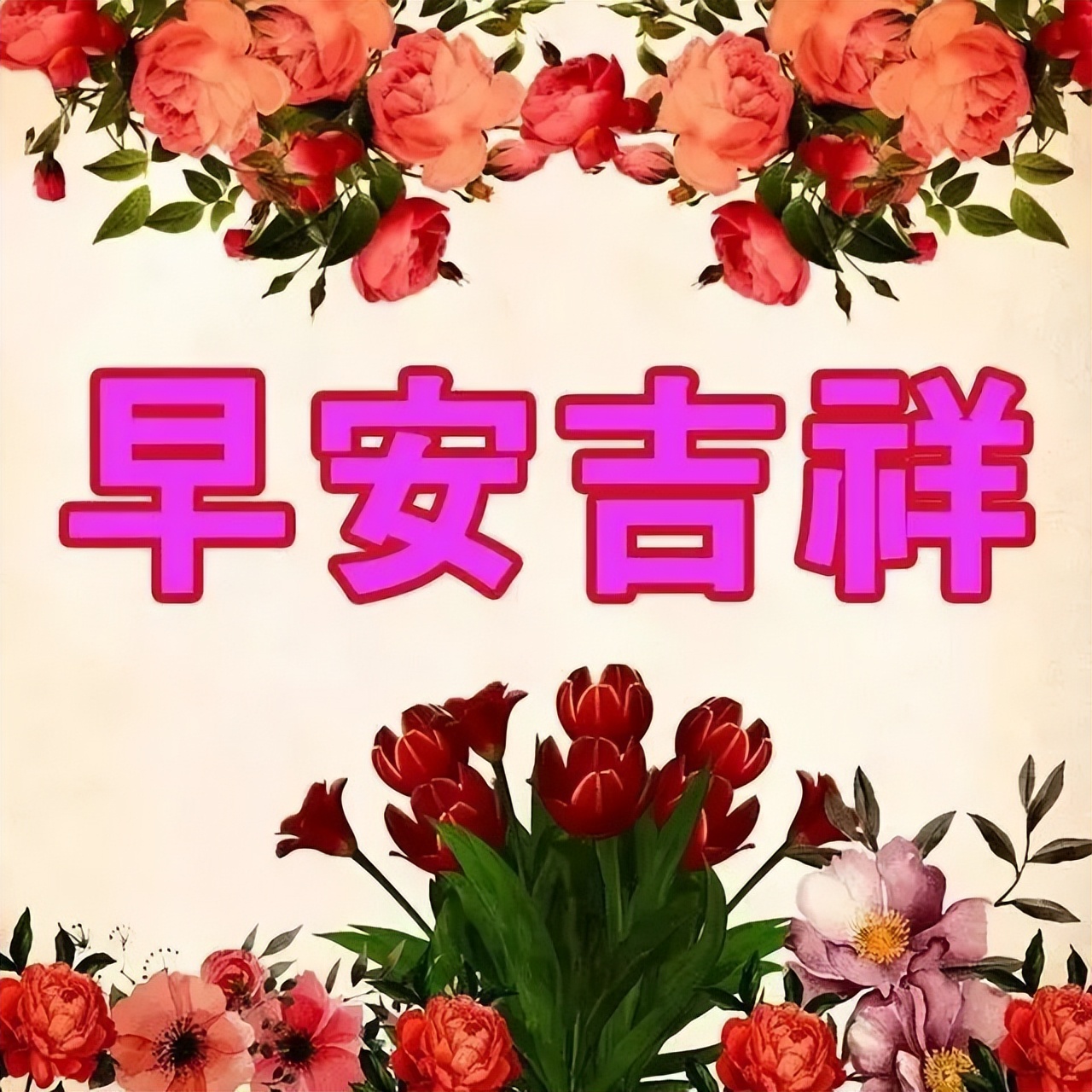 早上好问候语图片大全 以心交心才配真心 以情交情才配真情图片