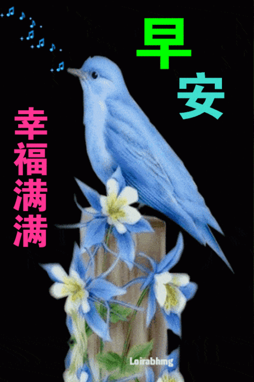 清晨问候朋友早上好的温馨祝福语句子 愿我们共同拥有平安健康快乐图片