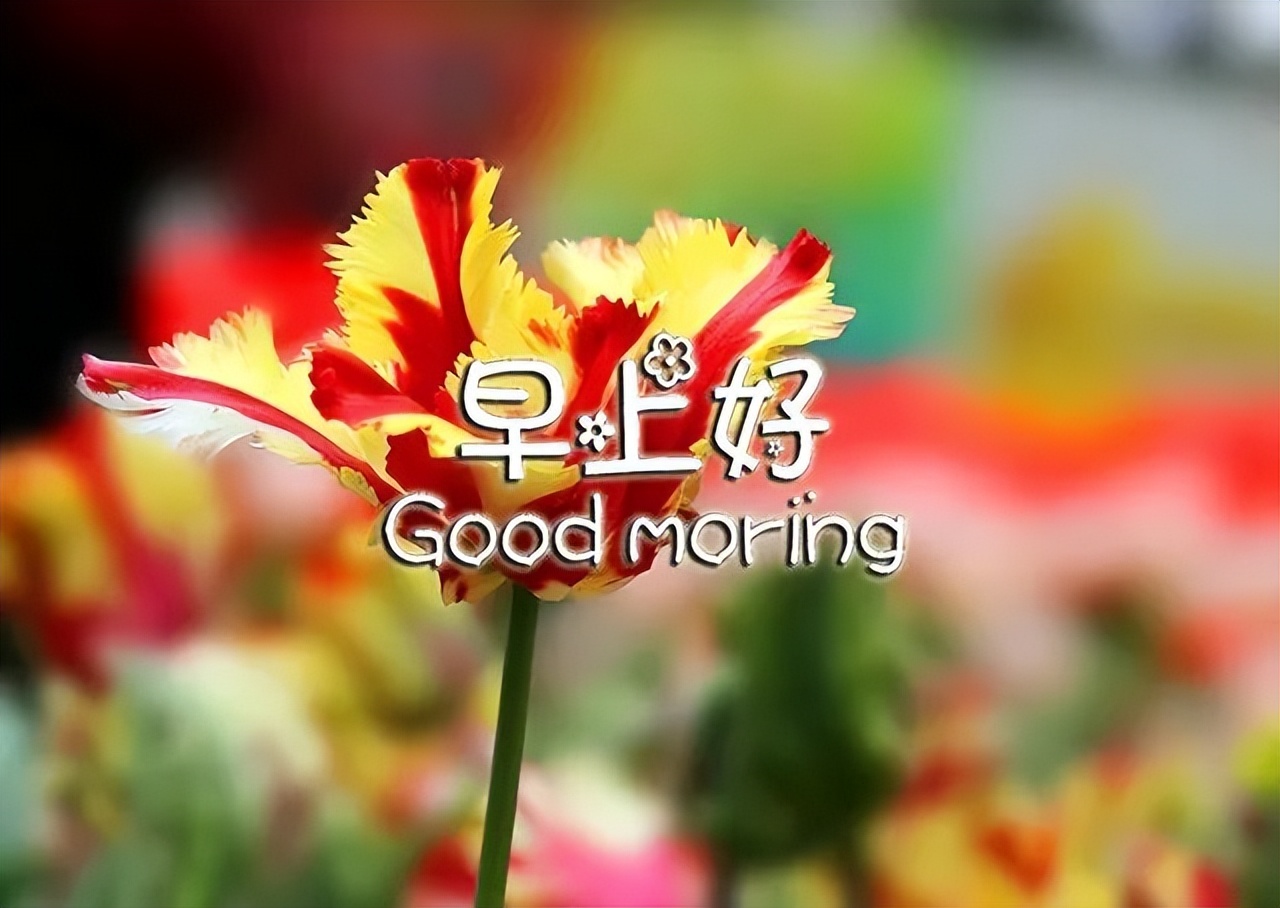 周四朋友圈超级温馨的早上好问候祝福语 以最美的心情迎接每一天图片