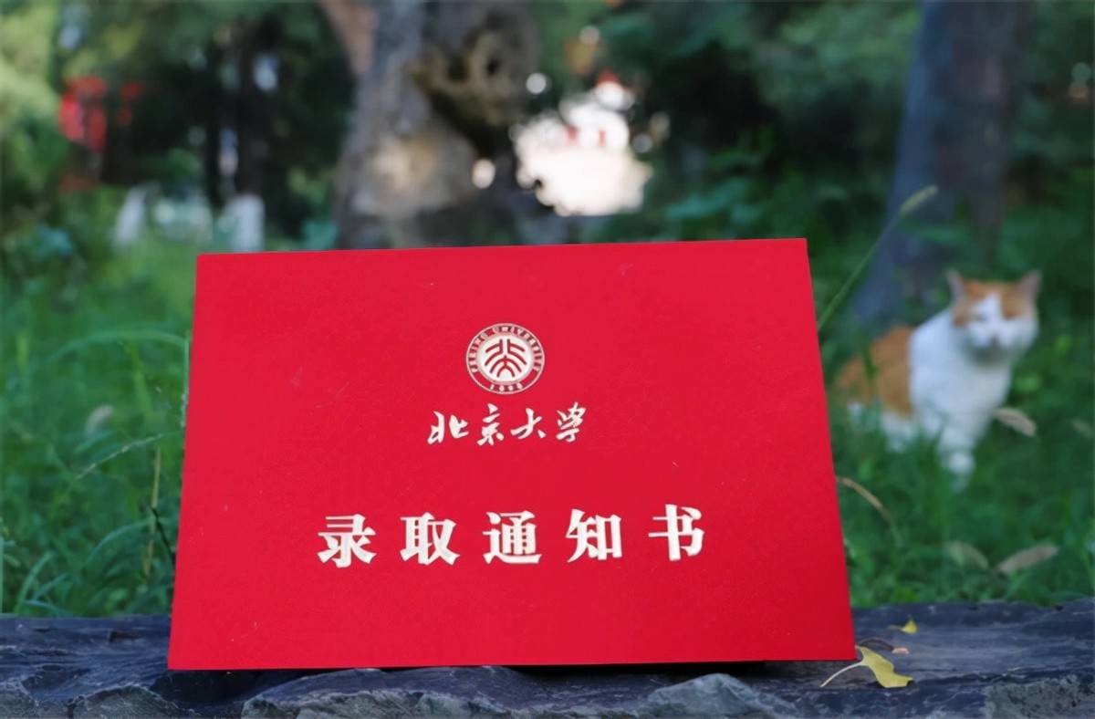 浙江奥数天才叶珈宁：未参加高考高2被保送，北大降200也要录取