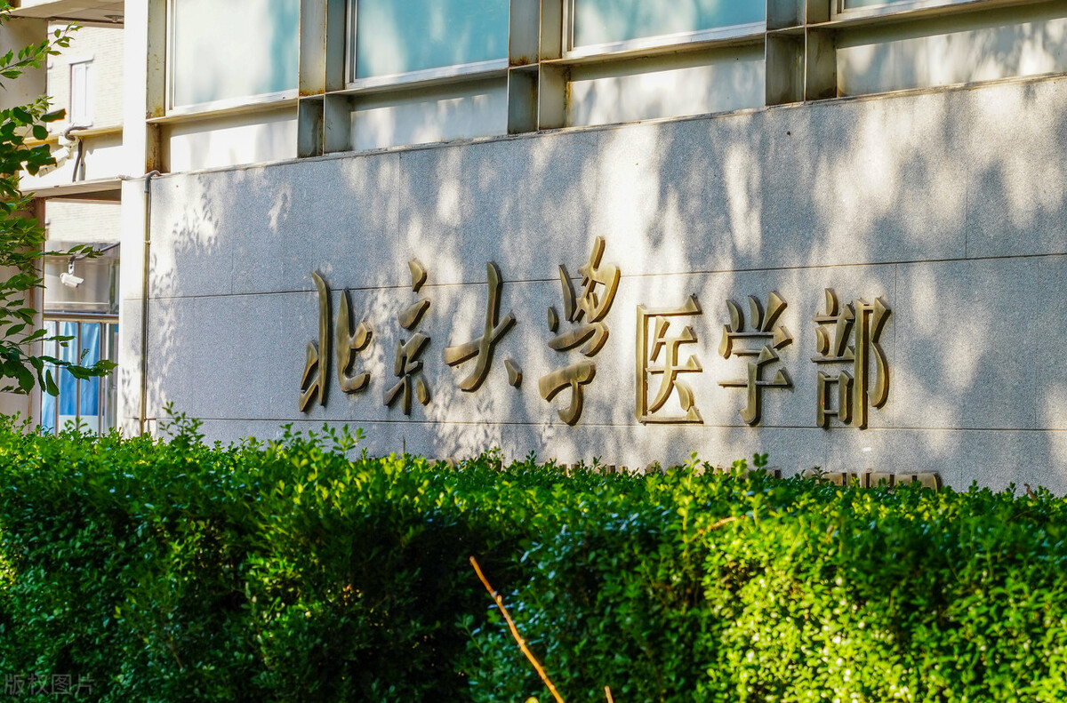 盘点4所强基计划试点高校，他们的保研率很高，分析其保研的特点