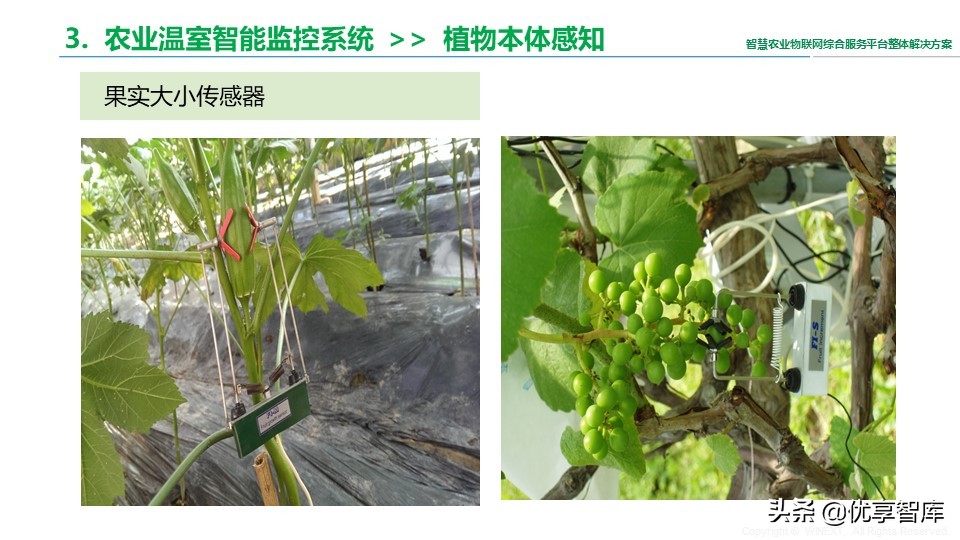 智慧农业物联网综合服务平台整体解决方案（41页PPT）