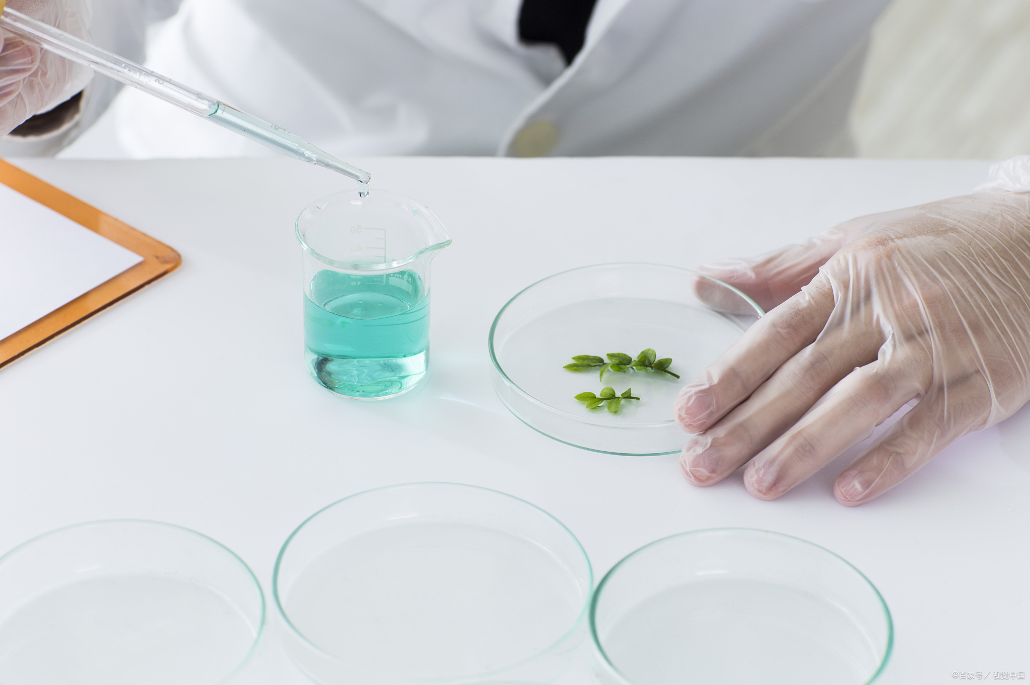 生物学专业：真的是坑？毕业后可以从事什么行业？好不好找工作？