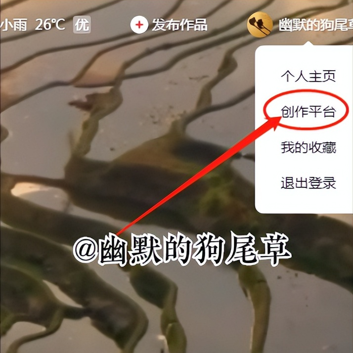有人私信问我怎么上传音频，整理了一下流程，需要的看看吧