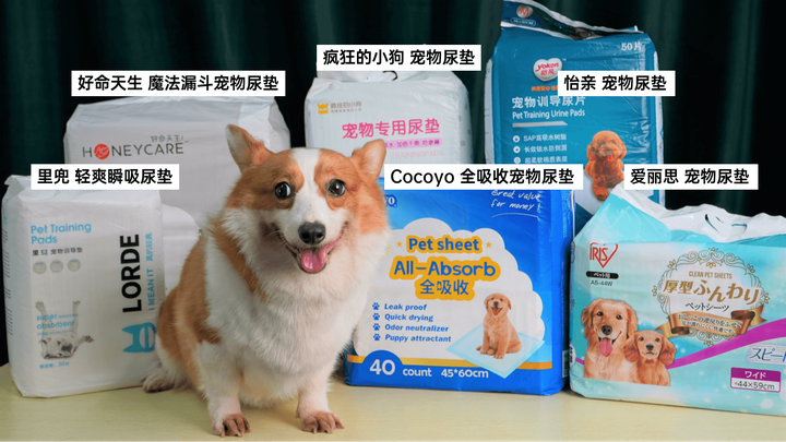 宠物尿垫哪家强？6大品牌的终极pk