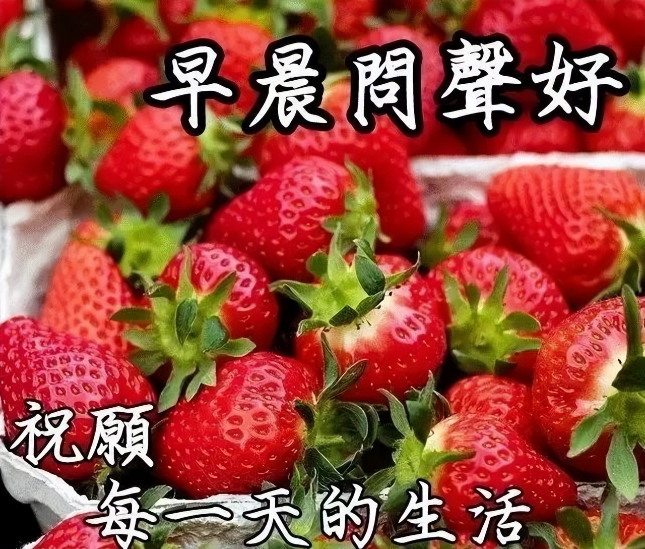 漂亮的早上好问候语动画表情图片 祝你心情好没烦恼 平安健康日日好图片
