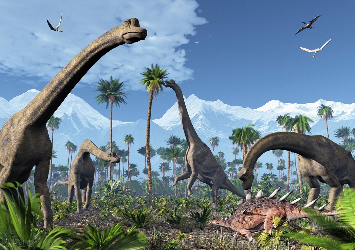 100大科学解密之一：“先有鸡先有蛋”的解答