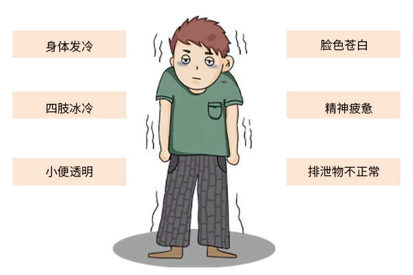 年纪轻轻长了白发，是不是肾虚？用生姜、何首乌、黑芝麻有用吗？