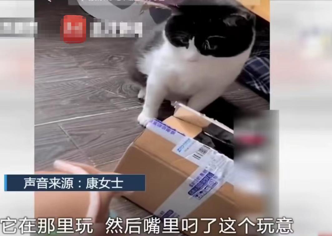 江苏苏州,康女士在位于13楼的家中休息