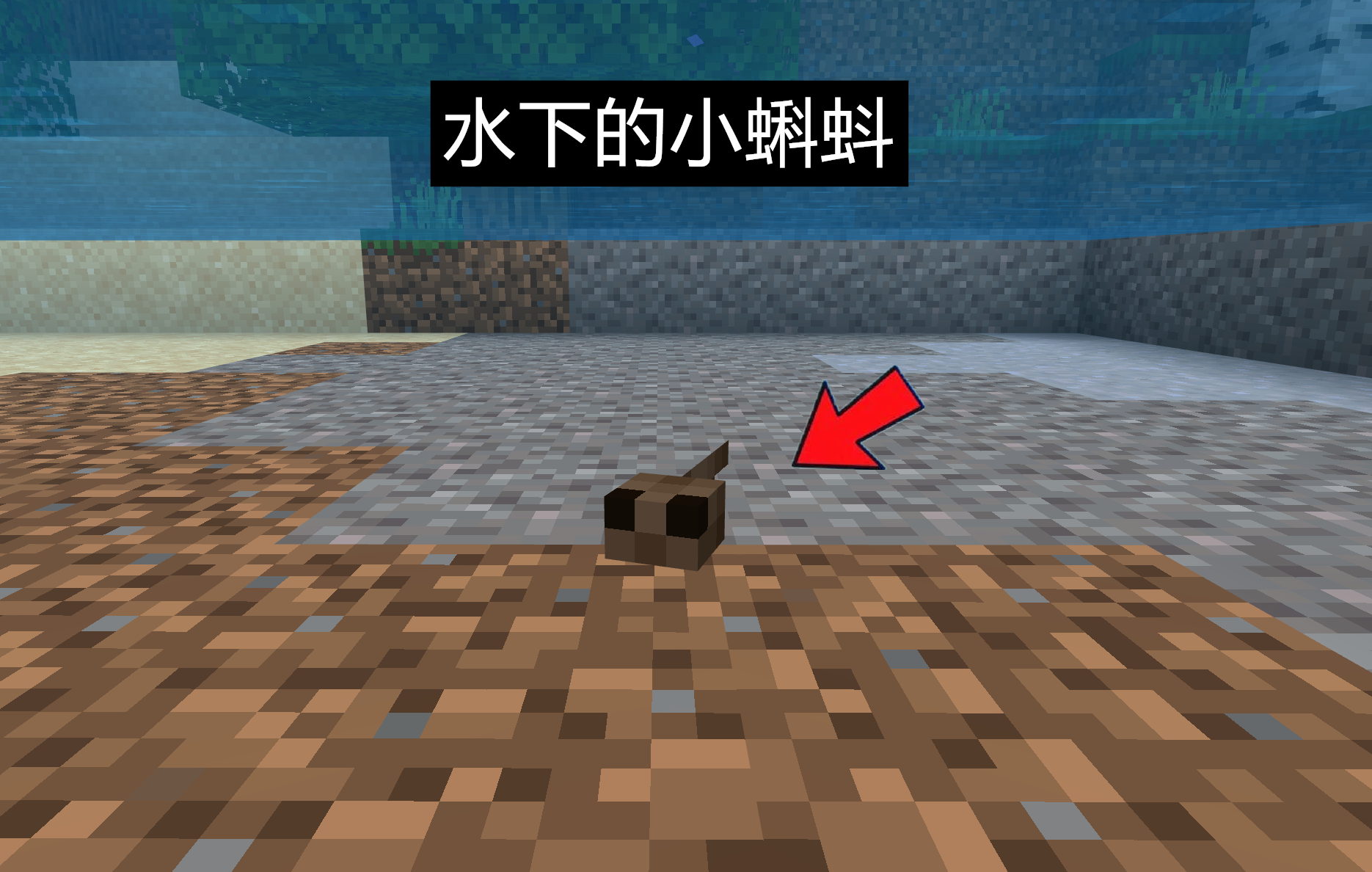 我的世界：基岩版抢跑更新！青蛙会吃小史莱姆，小蝌蚪用桶捕捉？