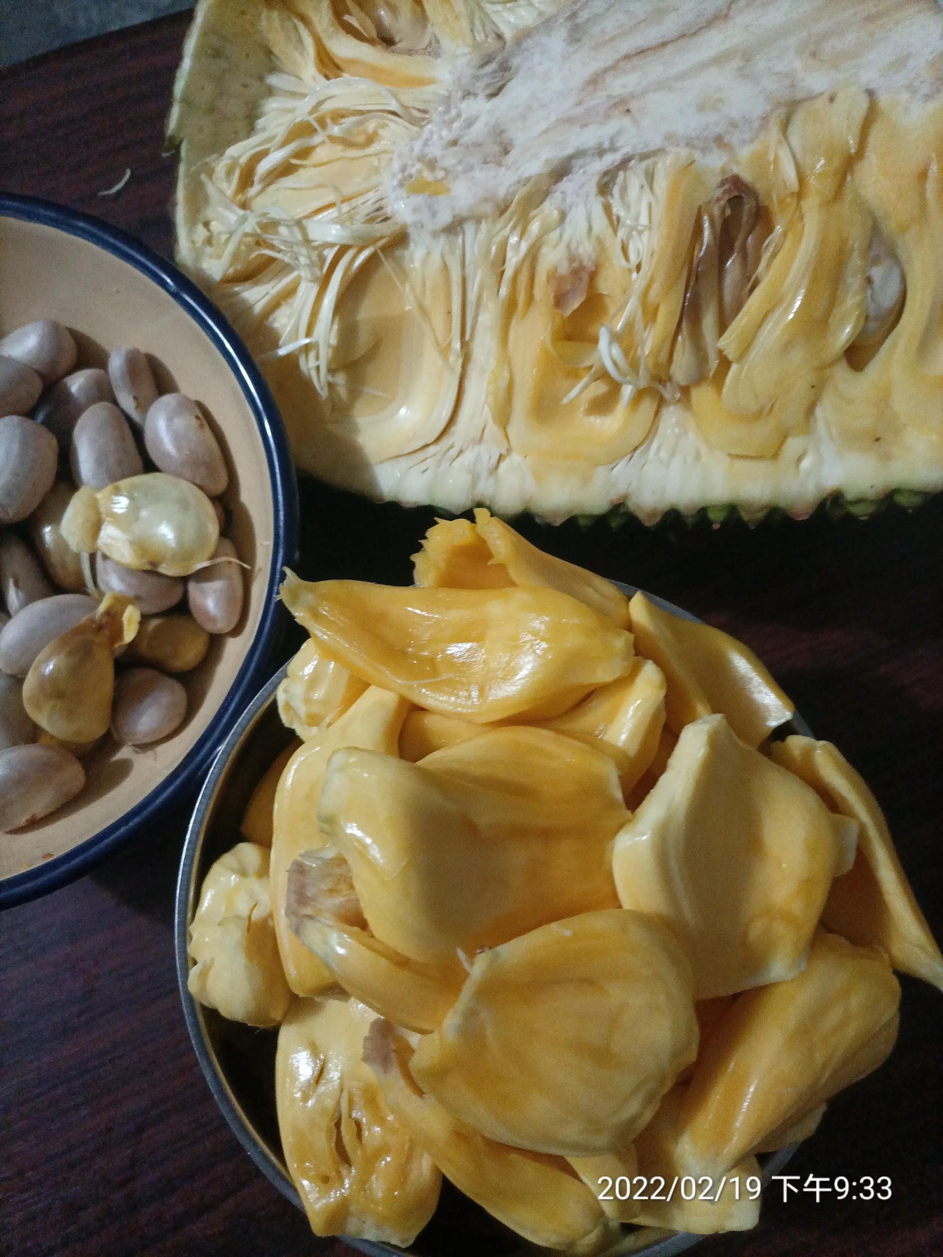 生活随笔记，快乐每一天，凌霄花