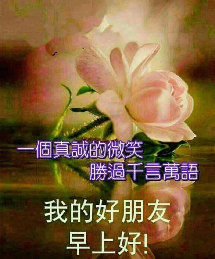 创意好看的早上好图片带字带祝福语 疫情坚持宅家，静候佳音图片