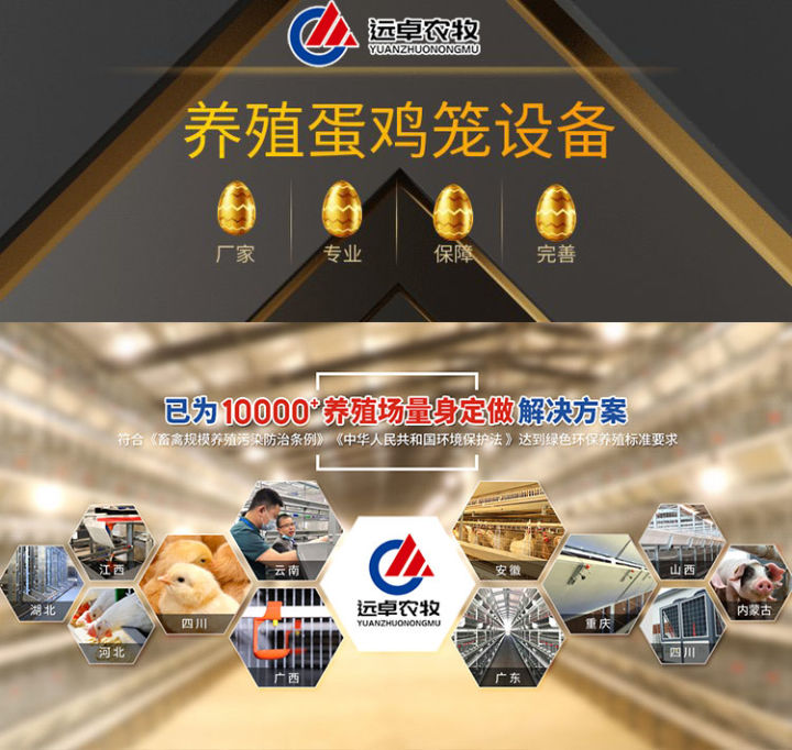 2022年6月大規(guī)模蛋雞養(yǎng)殖中蛋雞疾病總結(jié)與7月預(yù)警