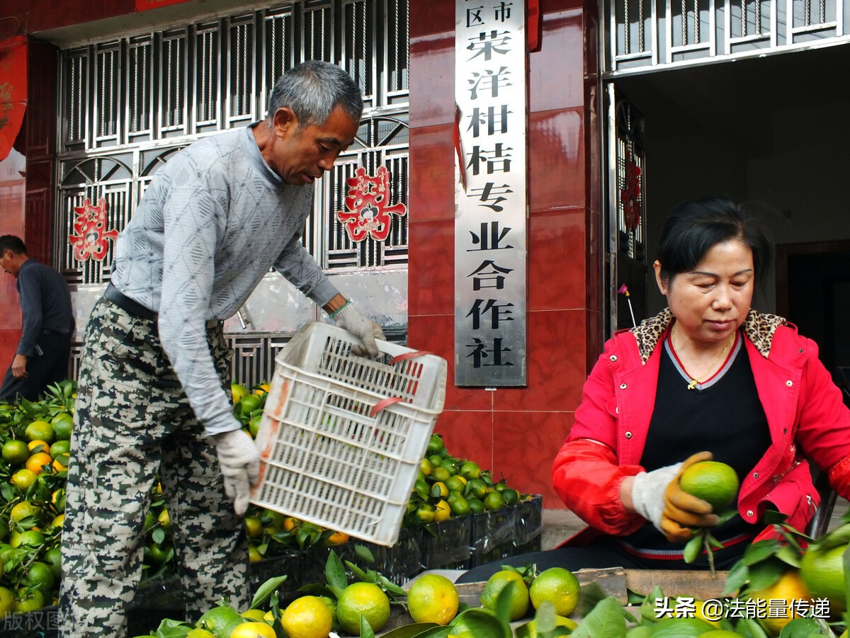 农民专业合作社农民专业合作社