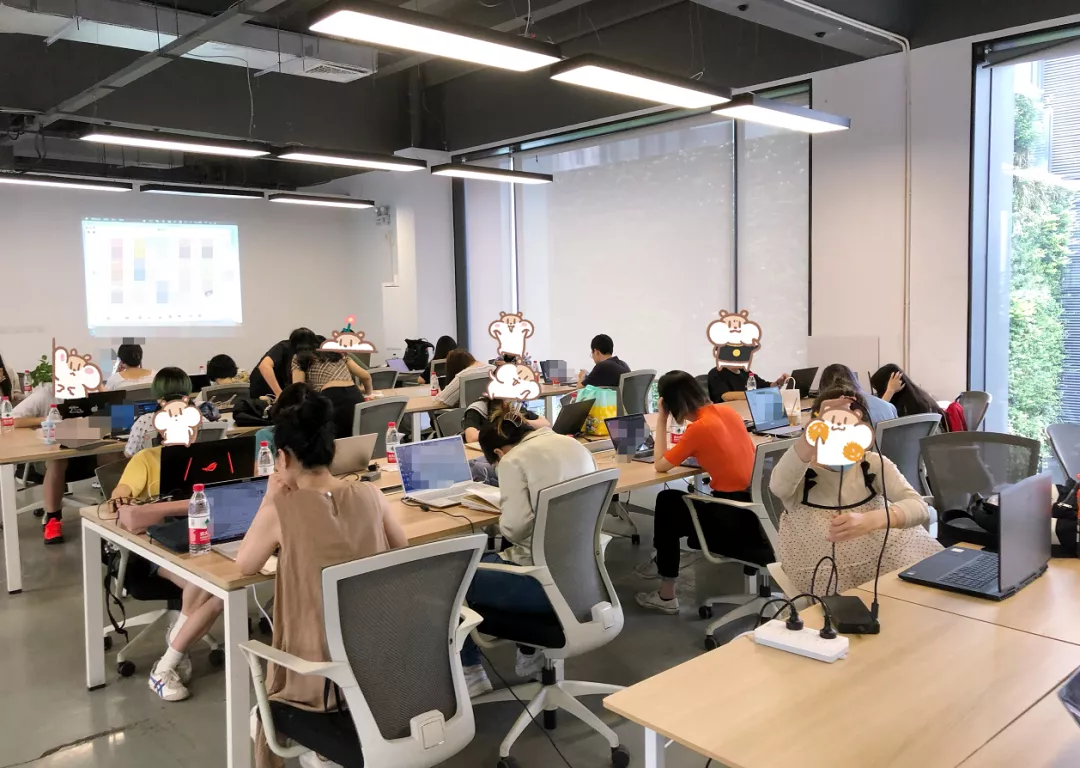 拿到ACCD、SVA、纽大、CCA，我的申请季结束了