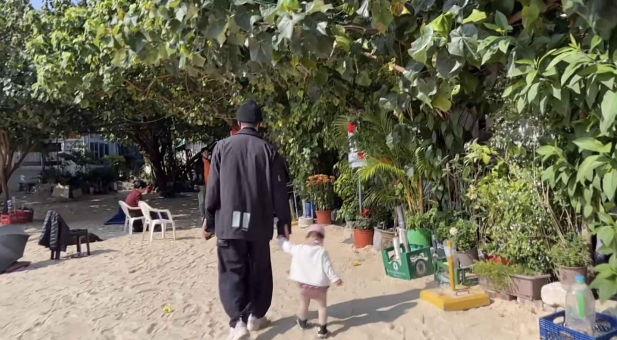 林峯携妻儿海边度假，拥女儿入怀被喊爸爸，格格大脑门被赞有福气