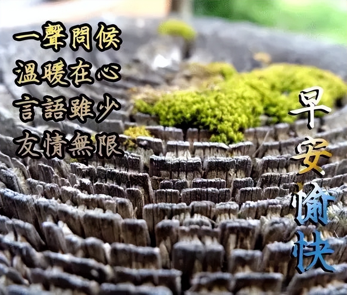 星期日早上好动态表情图片大全，早上好动图美图鉴赏图片