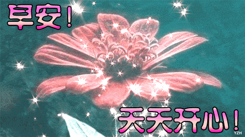 周二早上 早晨好暖心祝福语图片 成长是一种经历，成熟是一种阅历图片