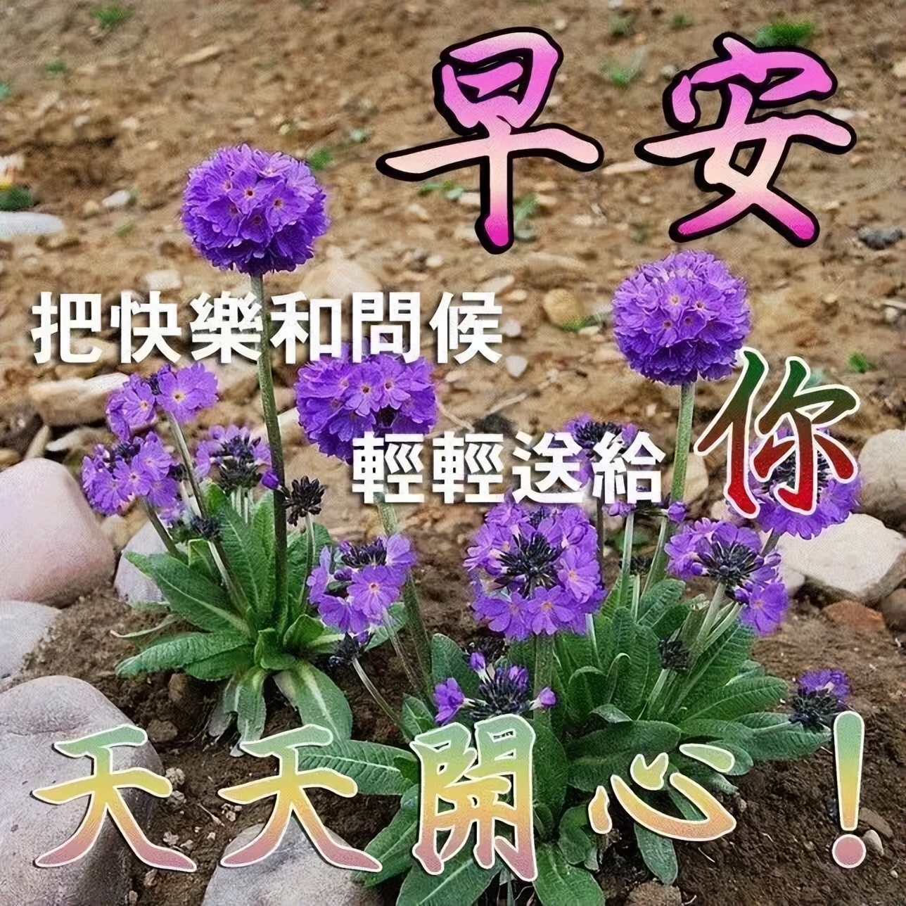2022春天最新早上好问候早安祝福图片温馨带字 微笑不要钱却很值钱图片